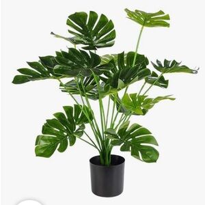 Green Artificial Plant in Black Pot